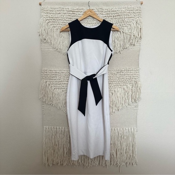 Milly Colorblock Dress - Picture 1 of 8